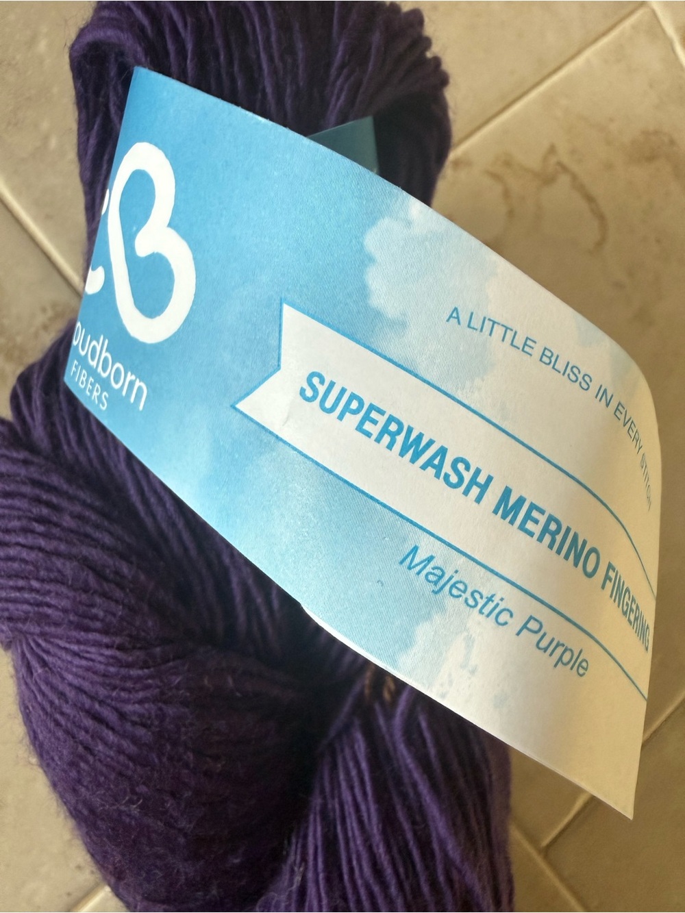 Cloudborn Fibers Superwash Merino Fingering Yarn - Majestic Purple